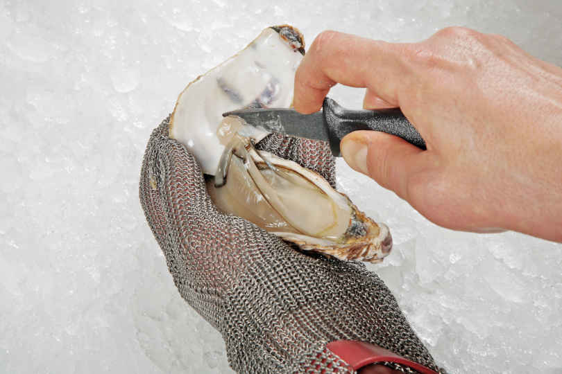 Shucking oyster with knife wearing oyster shucking gloves