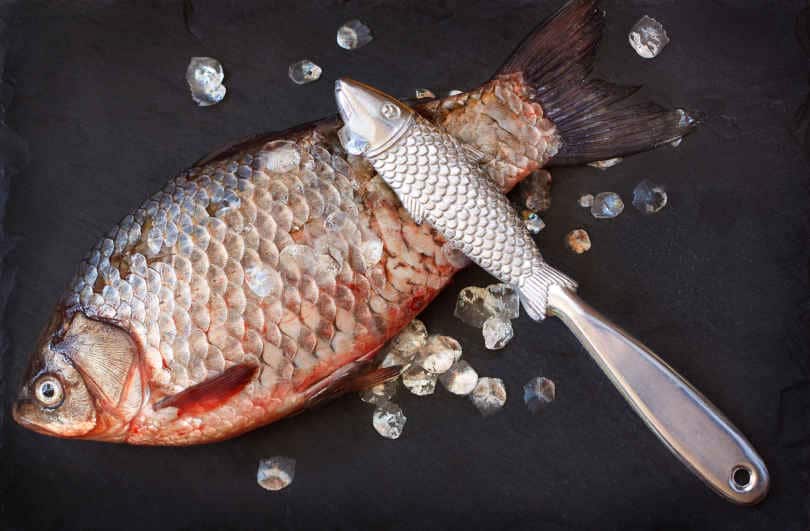 Fish Scaled with a Fish Scaler