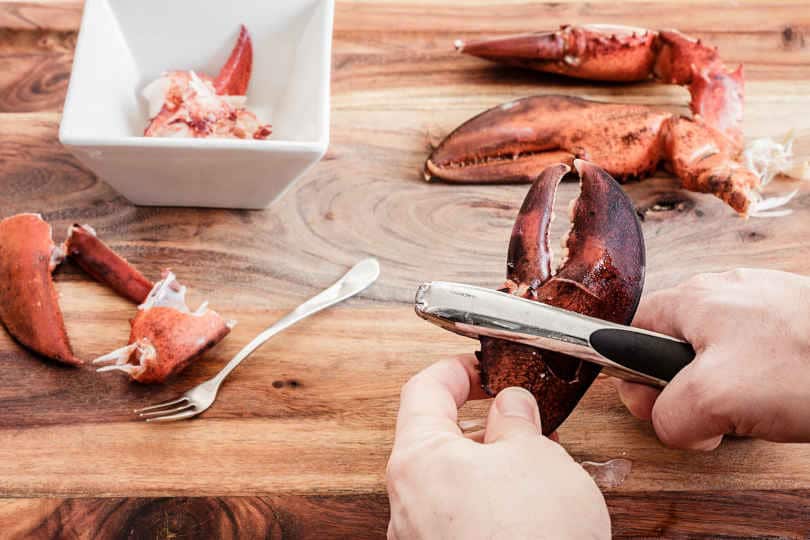 Cracking leftover lobster claws to get to the meat inside