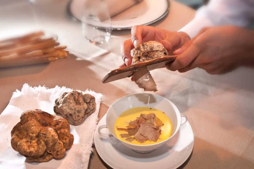 White Alba truffle sliced by the waiter on fontina fondue in an elegant white ceramic cup on the saucer next to two large truffles