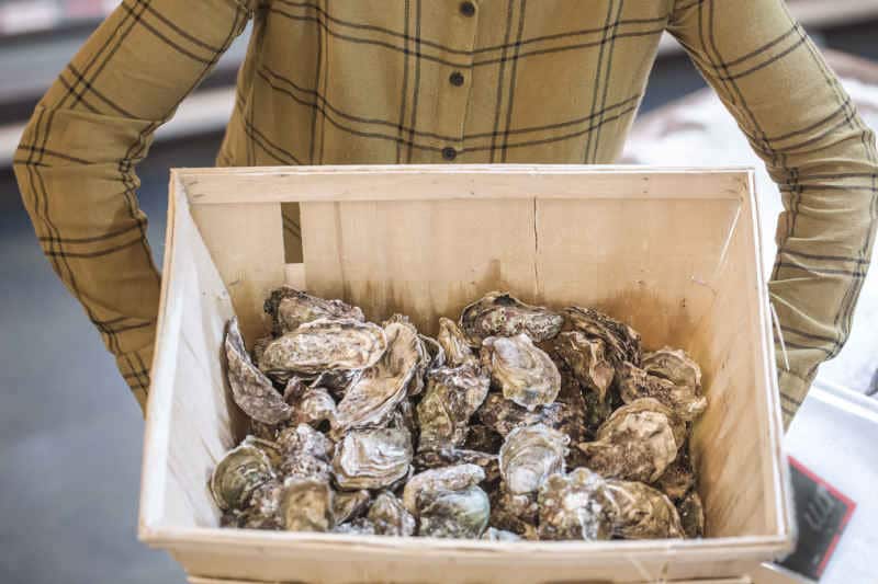 Beautiful young woman is holding a large box of oysters